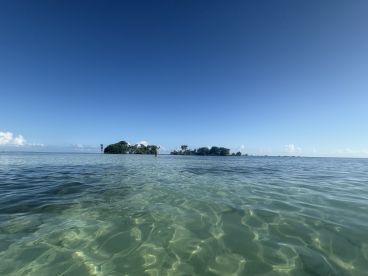 A serene view of a picturesque island with clear waters, showcasing a perfect spot for relaxation and exploration in a tropical paradise.