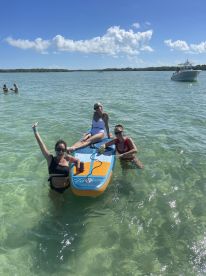 A lively group enjoys a sunny day paddleboarding in clear waters, showcasing the perfect blend of fun and relaxation on the beach.