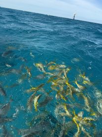 What an incredible eco tour! \u2b50\ufe0f\u2b50\ufe0f\u2b50\ufe0f\u2b50\ufe0f\u2b50\ufe0f