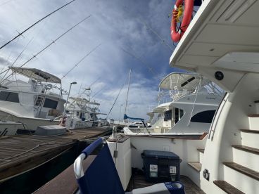 A view of several yachts docked at the marina, showcasing the variety of fishing boats and leisure vessels available.