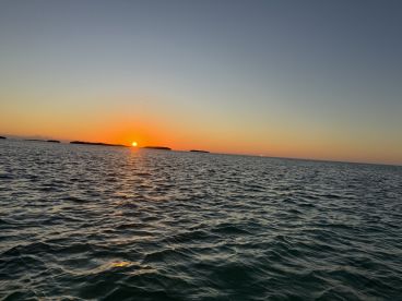 A stunning sunset over the horizon, casting warm hues across the water — a perfect backdrop for evening boat cruises.