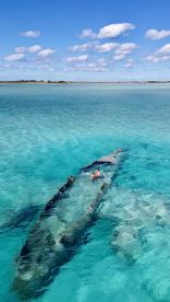 A couple enjoys a unique experience swimming around a shipwreck in stunning turquoise waters, showcasing the beauty of underwater exploration.