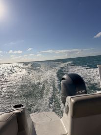 A dynamic view from the back of a speedboat cutting through the sparkling waters, showcasing the thrill of a day on the open sea.