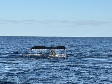 Incredible experience