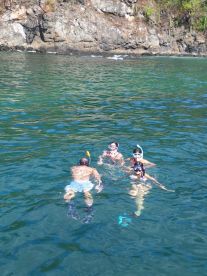 A group of snorkelers enjoys a vibrant underwater adventure in clear waters, perfect for exploring marine life and creating unforgettable memories.
