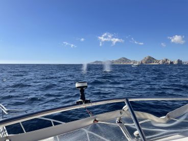 Great for whale watching!!