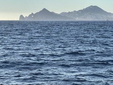 Luxurious boat for whale watching and fishing.