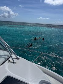 A group enjoys snorkeling in the vibrant turquoise waters, showcasing a fun-filled day on the boat — perfect for adventure seekers and family outings.