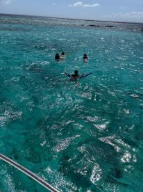 A group enjoys snorkeling in crystal-clear waters, showcasing the vibrant marine life and perfect conditions for an unforgettable aquatic adventure.