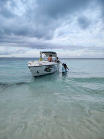 A group enjoys a fun day at the beach, interacting with a boat in shallow waters — perfect for memorable aquatic adventures.