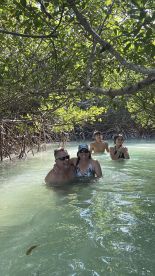 A joyful group enjoys a refreshing swim in the clear waters of a mangrove area, capturing the essence of fun and adventure in nature.