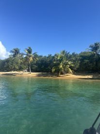 A serene view of a tropical beach surrounded by lush palm trees and clear turquoise waters, perfect for a relaxing getaway or island exploration.