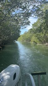 A serene view of a winding waterway through lush mangroves, perfect for exploring nature and enjoying tranquil boat rides.