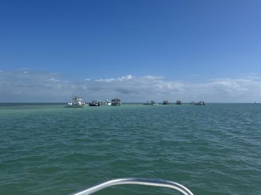 A picturesque view of several boats anchored near a sandbar, showcasing the serene beauty of the coastline under a clear blue sky.