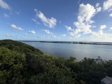 A stunning view of a tranquil coastline with lush greenery and clear waters, perfect for showcasing the natural beauty of island destinations.
