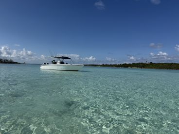 A sleek speedboat navigates through crystal-clear waters, showcasing the beauty of the surrounding landscape — perfect for fishing or leisure outings.
