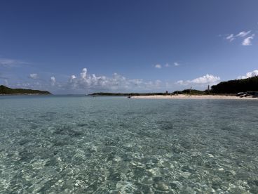 A stunning view of a serene beach with crystal-clear waters and lush greenery, perfect for a relaxing day in paradise.
