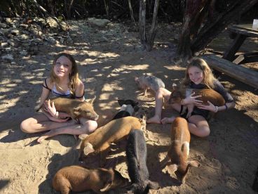 Two girls interact with adorable piglets on a sandy beach, showcasing a delightful wildlife experience that highlights the charm of swimming pigs.