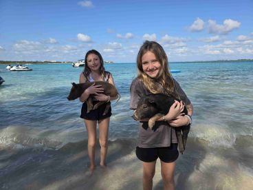 Two girls joyfully hold pigs while standing in shallow water, showcasing a unique wildlife interaction in a picturesque setting.
