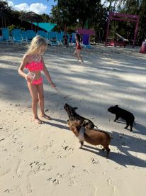 A young girl interacts with friendly pigs on the beach, creating a memorable wildlife experience in a tropical setting.