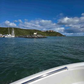 A scenic view from a boat showcasing a marina with yachts and a lush hillside in the background, perfect for exploring coastal destinations.