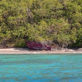 An unclear view of a partially submerged boat near a beach, surrounded by lush greenery — the scene captures a sense of mystery and nature's reclamation.