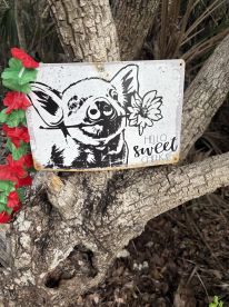 A charming sign featuring a pig illustration with a flower, adding a whimsical touch to the natural surroundings — perfect for animal lovers and those exploring wildlife encounters.