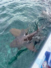 Best Belize day ever!!