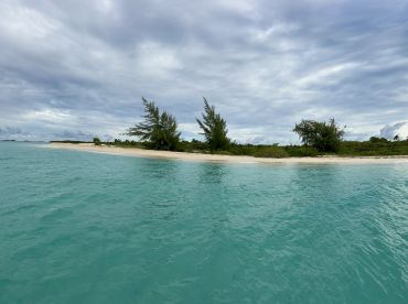 A serene view of a secluded island coastline with lush greenery and turquoise waters, perfect for a tranquil getaway or exploration.