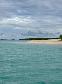 A serene view of a secluded beach with turquoise waters and cloudy skies, perfect for a tranquil getaway or island exploration.