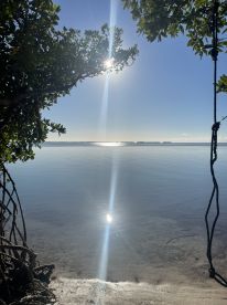 A serene view of calm waters reflecting sunlight, framed by lush greenery — a perfect escape into nature's tranquility.