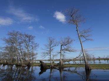 We picked the perfect day of weather for a beautiful water tour