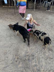 A woman interacts with friendly pigs on the beach, showcasing a unique wildlife experience that highlights the charm of swimming pigs in the Bahamas.