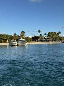 Two yachts docked near a beautiful beach, surrounded by palm trees and clear blue skies — a perfect setting for a relaxing day on the water.