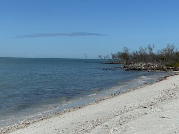 A serene beach scene showcasing a tranquil coastline with gentle waves and sparse trees, perfect for a peaceful getaway or nature exploration.