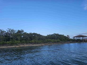 A scenic view of a shoreline with mangroves and a gazebo, captured from the water. The image lacks clarity and detail.