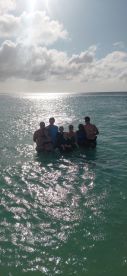 A cheerful group enjoys a fun day swimming in the sparkling waters, creating unforgettable memories under the sun.