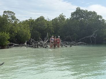 A group of friends enjoys a refreshing swim in the shallow waters surrounded by lush mangroves, capturing the essence of a perfect beach day.