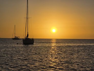 A serene sunset view featuring sailboats silhouetted against the golden horizon, perfect for capturing the tranquility of evening on the water.