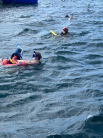 A family enjoys a snorkeling adventure in the ocean, with children and adults actively exploring the water — a perfect day for aquatic fun.