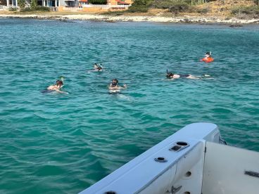 A group enjoys snorkeling in crystal-clear waters, showcasing the vibrant marine life and perfect conditions for underwater exploration.