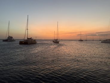 A serene sunset view featuring multiple yachts anchored in calm waters, creating a picturesque scene perfect for evening boat outings.
