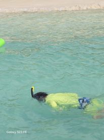 A child enjoys snorkeling in crystal-clear waters, showcasing the excitement of underwater exploration during a fun day at the beach.