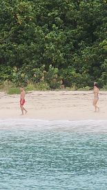 A couple strolls along a serene beach, surrounded by lush greenery — a perfect scene for romantic getaways or beach adventures.