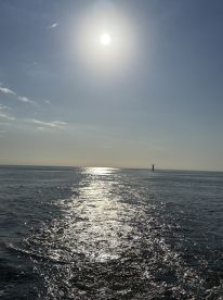 A serene view of the ocean under a bright sun, with reflections shimmering on the water's surface.