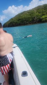 A group enjoys a snorkeling adventure in crystal-clear turquoise waters, with one person swimming nearby — a perfect day for aquatic exploration.