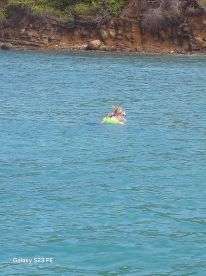 A snorkeler enjoys the vibrant underwater world in clear turquoise waters, perfect for aquatic adventures and exploration.