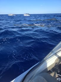 February boating trip