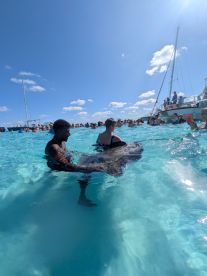 A thrilling encounter as guests swim with a stingray in crystal-clear waters, showcasing the unique wildlife experiences available in tropical destinations.
