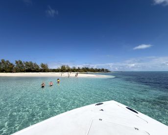 Guests enjoy a sandbar stop, swimming in crystal-clear waters with a picturesque beach in the background — a perfect day for relaxation and fun in the sun.